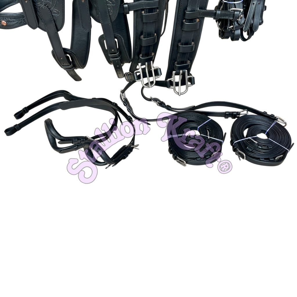 Team Pair Carriage Harness Full Grain Oiled Black Leather Horse Driving Harness