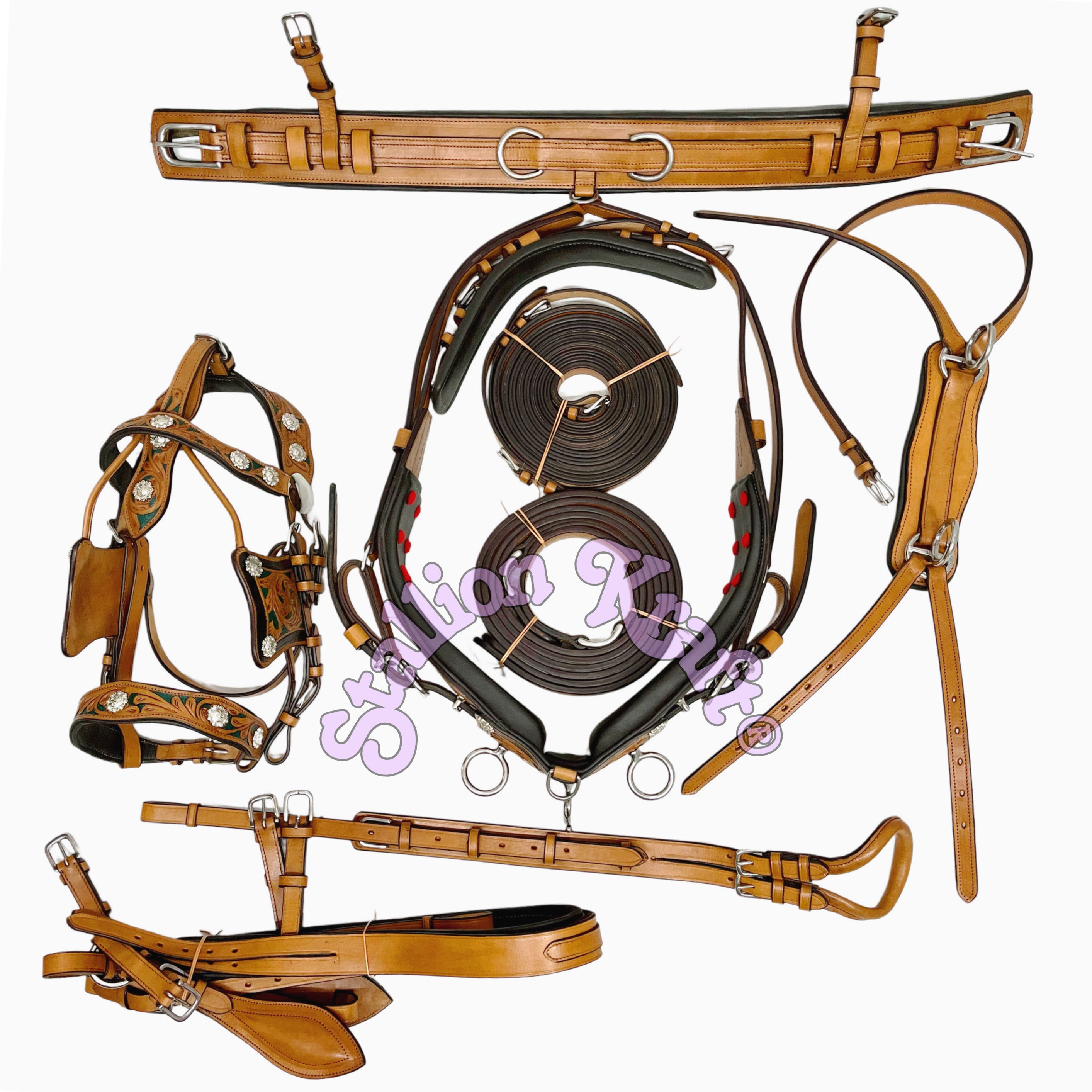 Western Style Classic Multi Tone Horse Driving Harness Natural Brown and Green Leather Carriage Harness Set