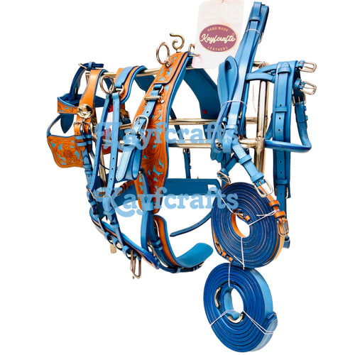 Blue & Natural Leather Single Horse Driving Harness Set – Soft Cushioned Padding