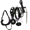 Handcrafted All Black English Pattern Genuine Full Grain Oiled Leather Horse Harness with French Collar