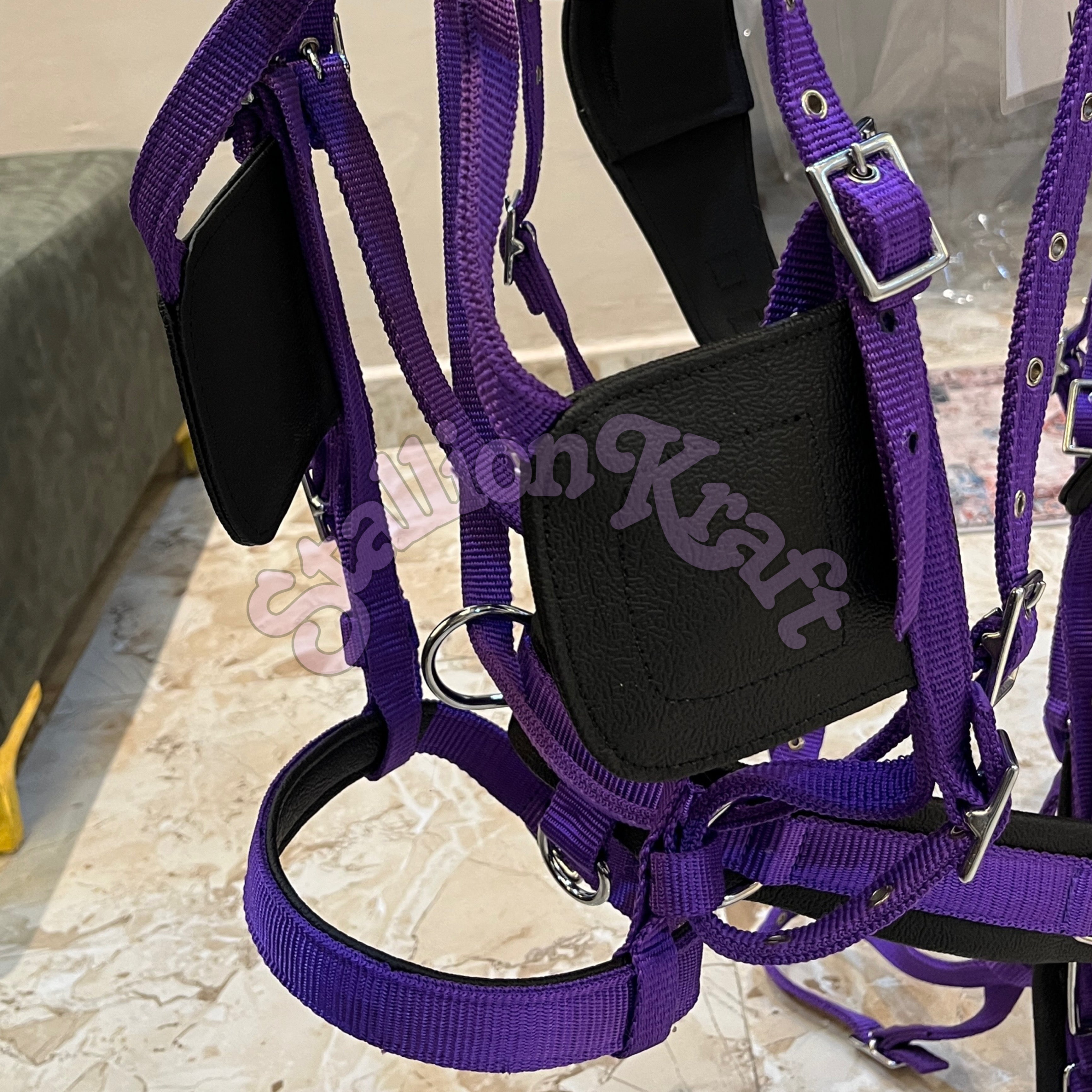 Black and Purple Nylon Horse Driving Harness Horse Carriage, Cart and  Buggy Harness