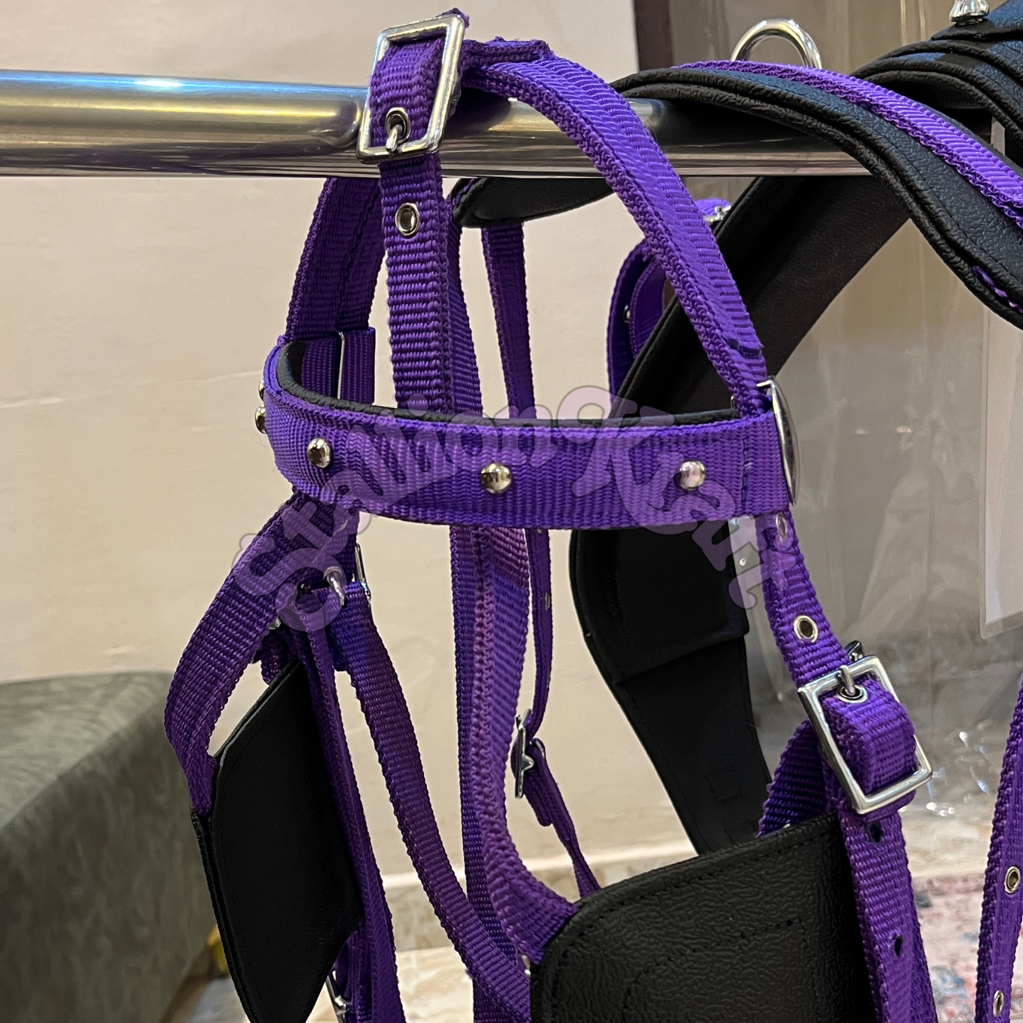 Black and Purple Nylon Horse Driving Harness Horse Carriage, Cart and  Buggy Harness
