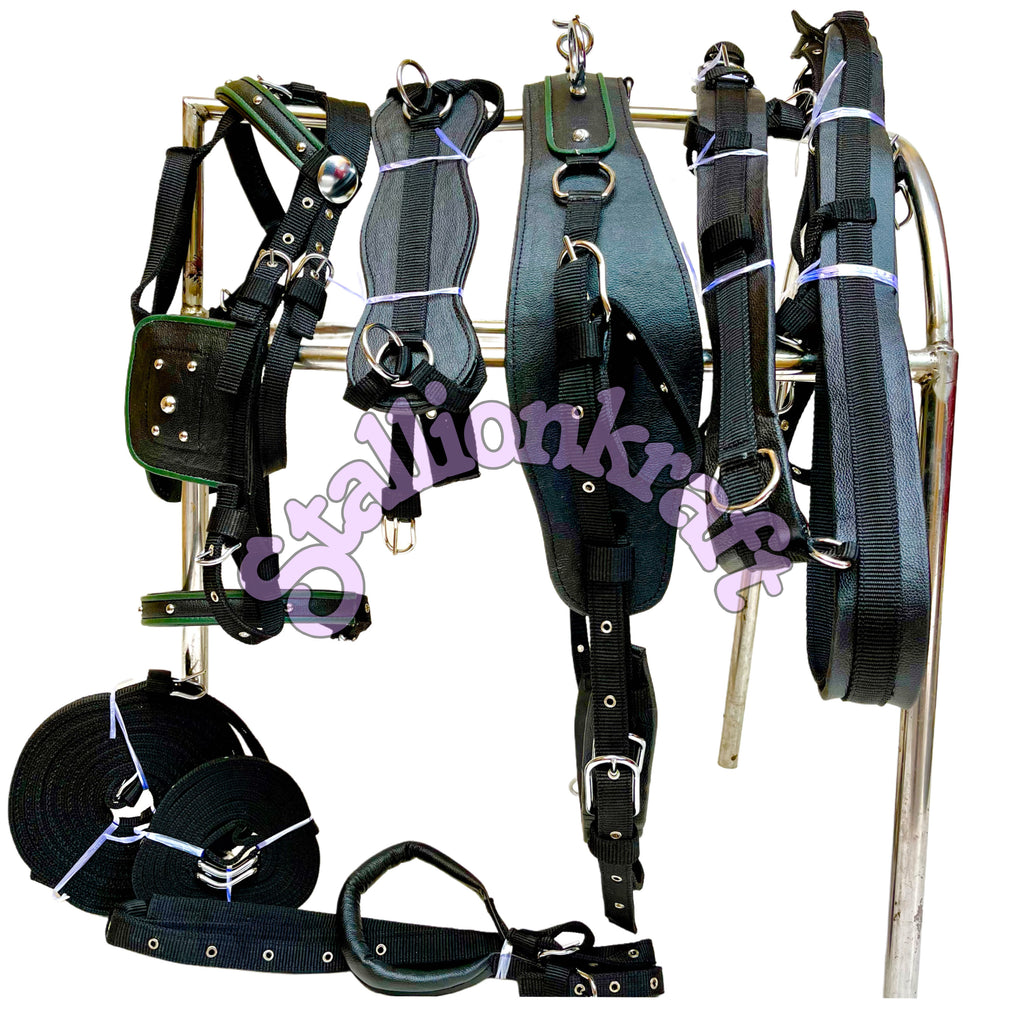 Dual Tone Black and Green Nylon Horse Driving Harness with Studded Bridle and Padded Saddle
