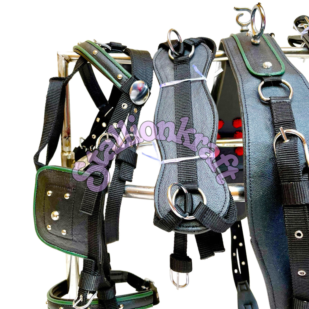 Dual Tone Black and Green Nylon Horse Driving Harness with Studded Bridle and Padded Saddle