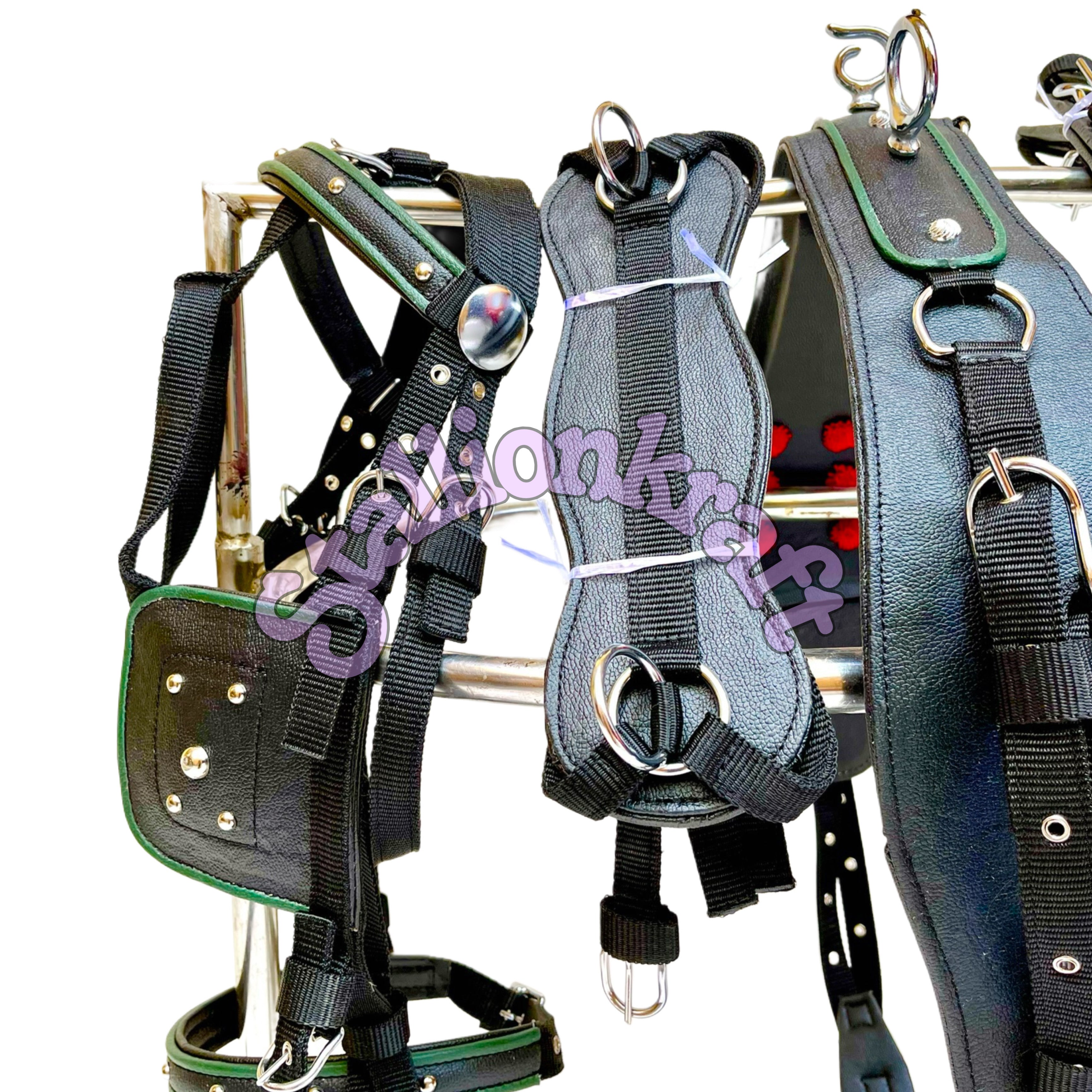 Dual Tone Black and Green Nylon Horse Driving Harness with Studded Bridle and Padded Saddle