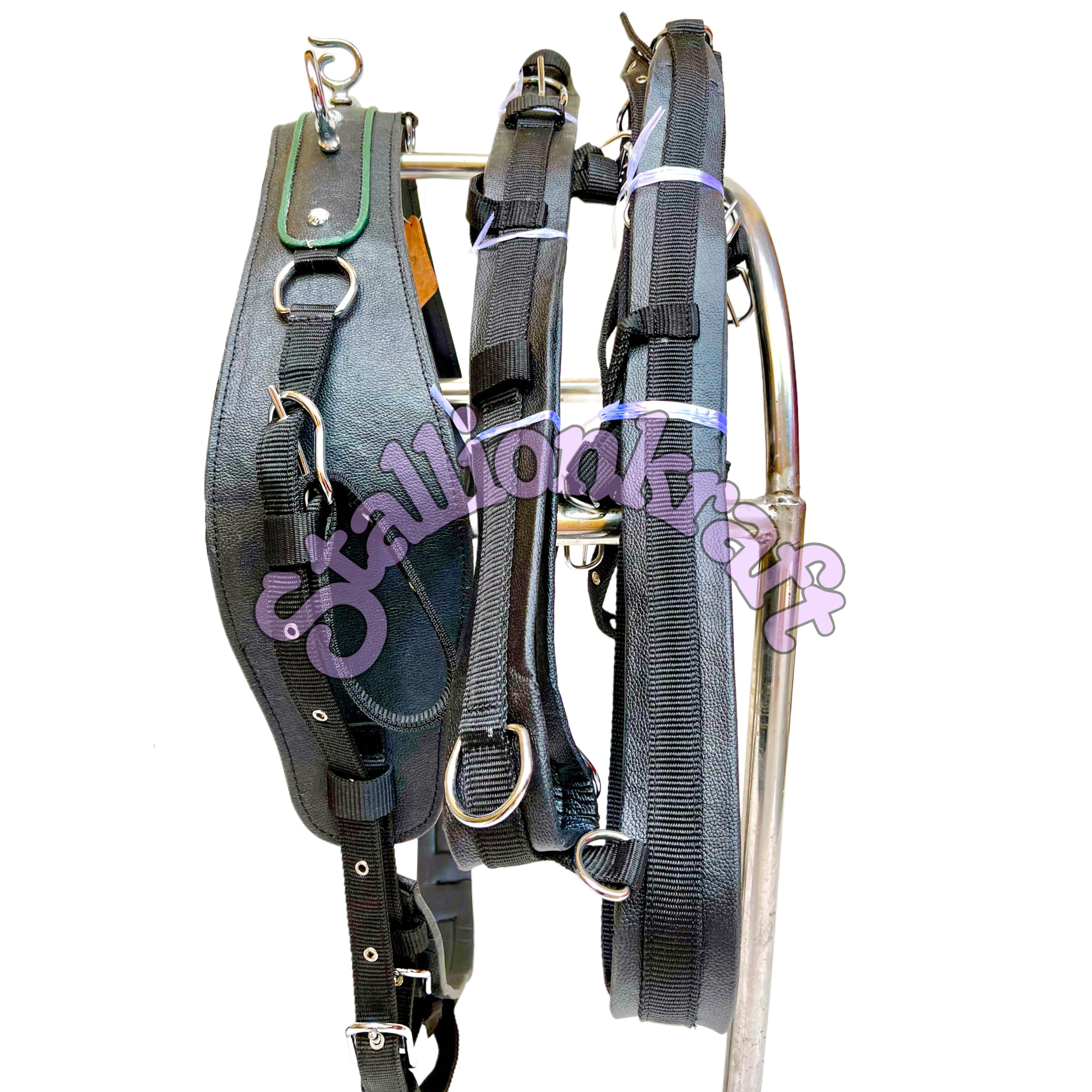 Dual Tone Black and Green Nylon Horse Driving Harness with Studded Bridle and Padded Saddle