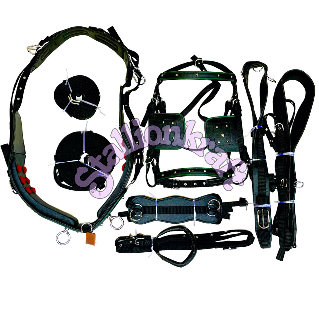 Dual Tone Black and Green Nylon Horse Driving Harness with Studded Bridle and Padded Saddle