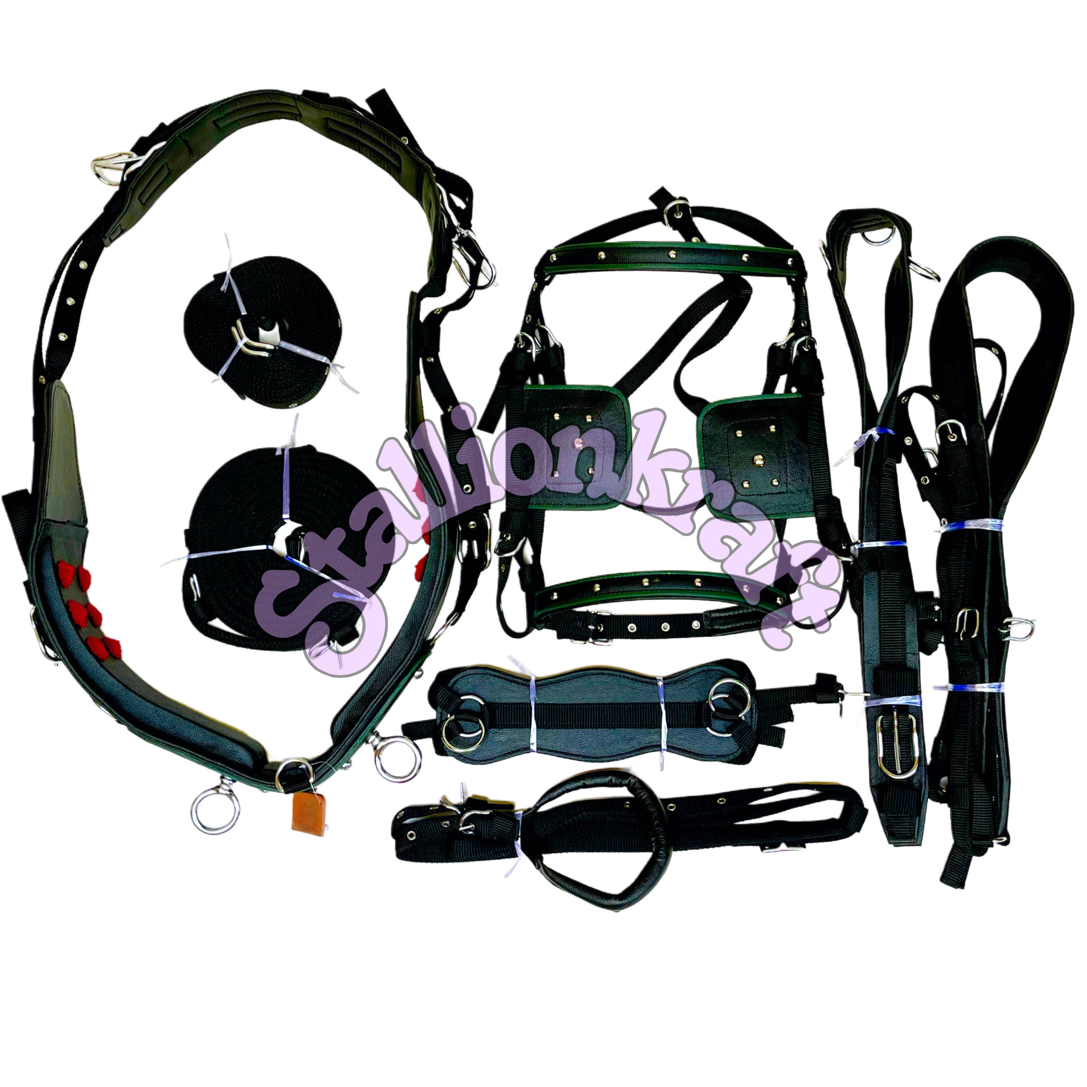 Dual Tone Black and Green Nylon Horse Driving Harness with Studded Bridle and Padded Saddle