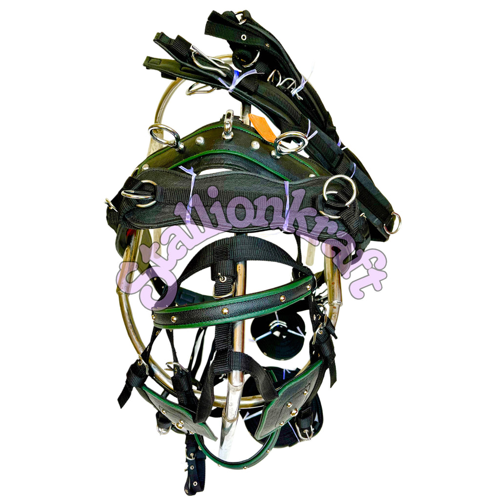 Dual Tone Black and Green Nylon Horse Driving Harness with Studded Bridle and Padded Saddle