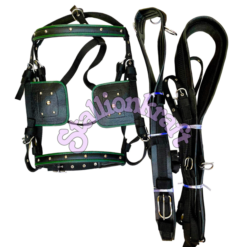 Dual Tone Black and Green Nylon Horse Driving Harness with Studded Bridle and Padded Saddle