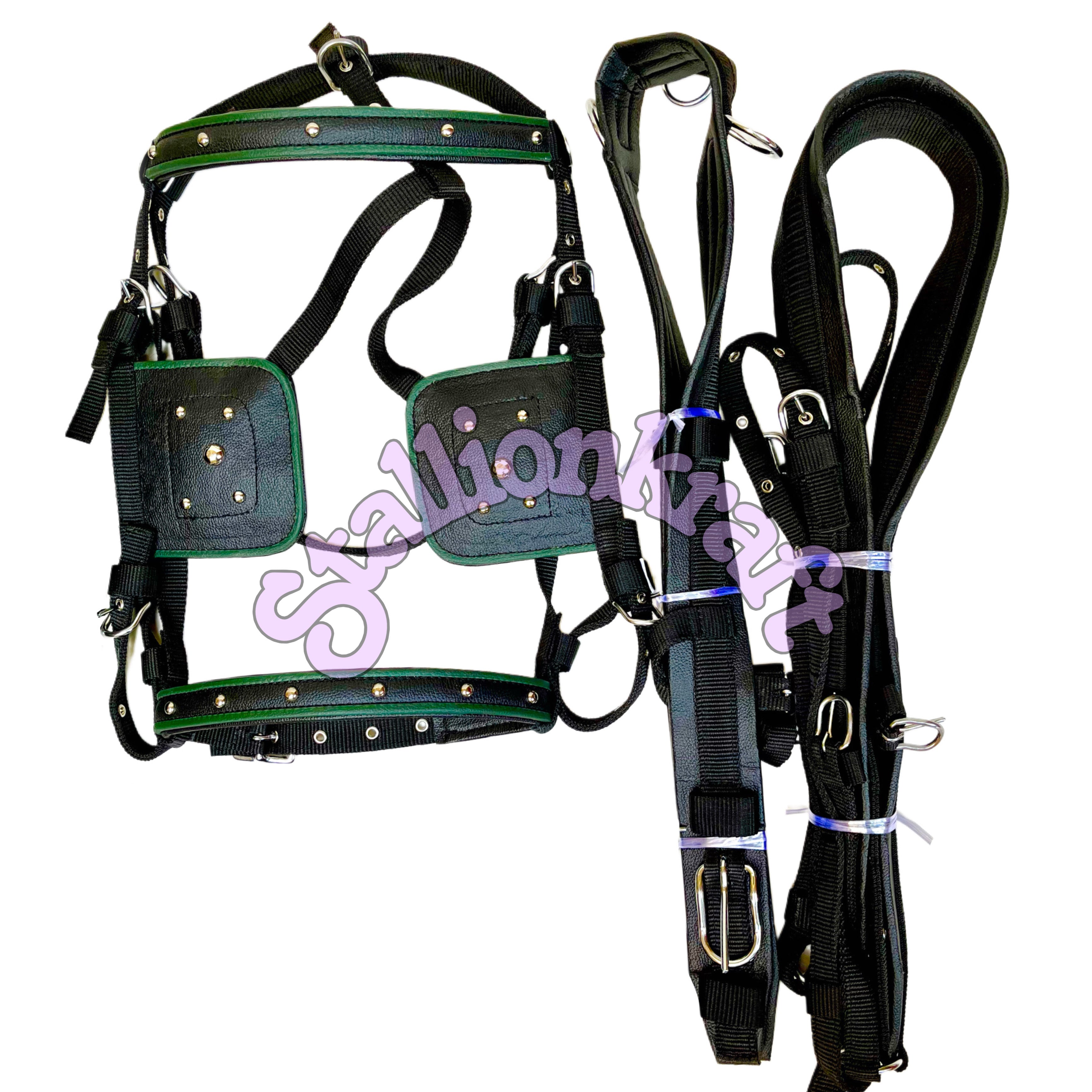 Dual Tone Black and Green Nylon Horse Driving Harness with Studded Bridle and Padded Saddle