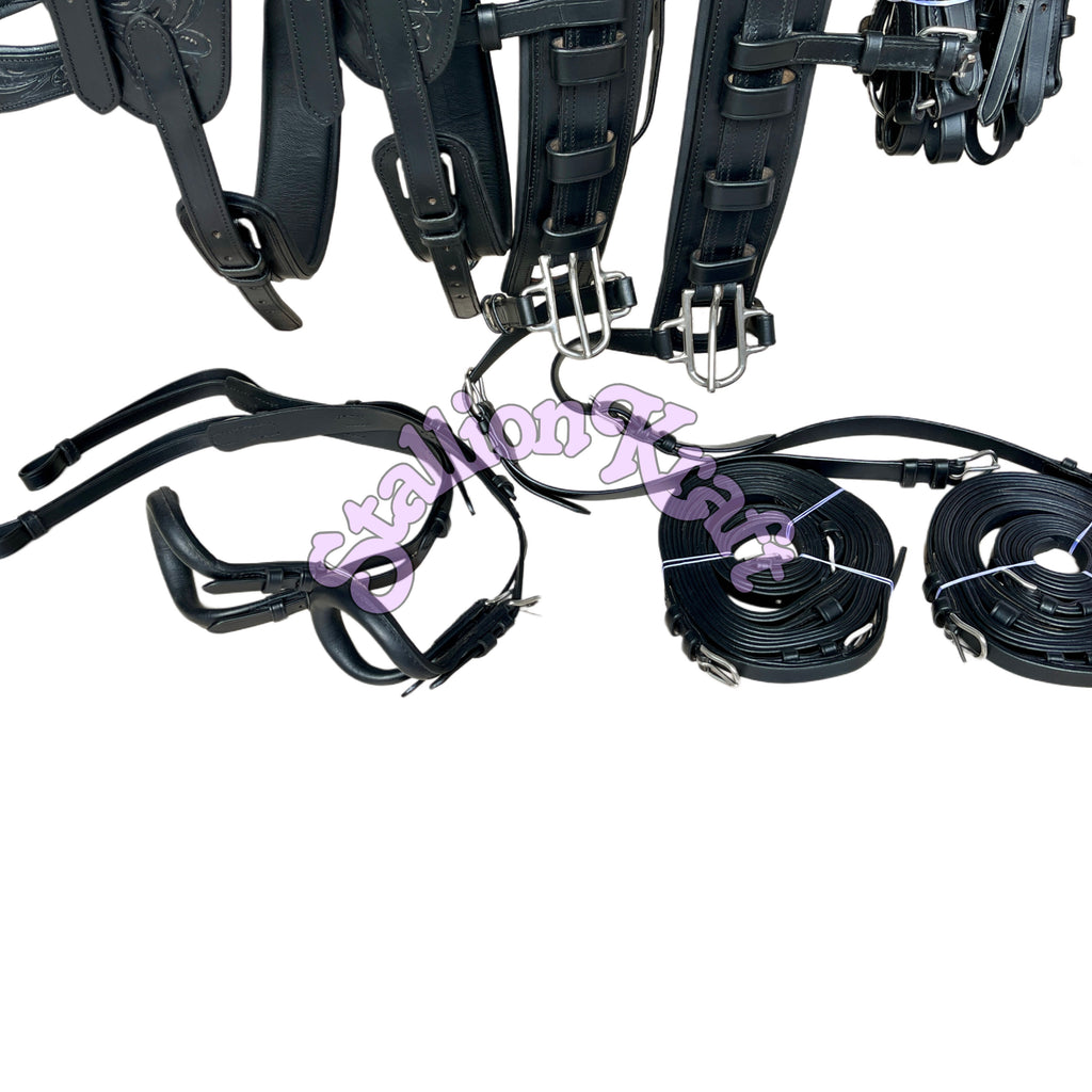 Premium Full Grain Black Leather Team Horse Driving Harness  Dual Horse Carriage Harness with Anatomical French Collar