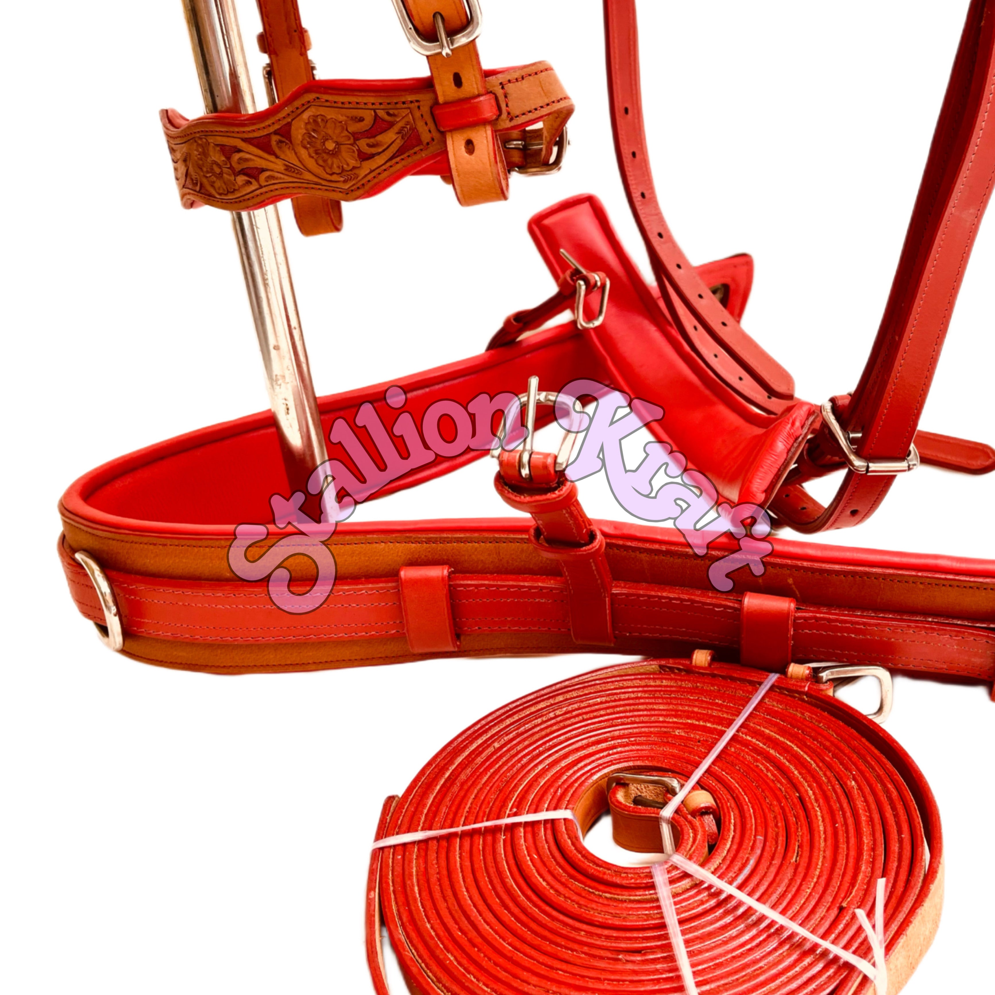 Premium Full Grain Leather Horse Driving Harness Set  Natural and Red Carriage Buggy Harness with Breeching and Traces