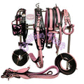 Oiled Black & Pink Horse Driving Harness – Full Grain Leather Carriage Harness Set with Breeching