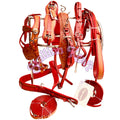 Premium Full Grain Leather Horse Driving Harness Set  Natural and Red Carriage Buggy Harness with Breeching and Traces