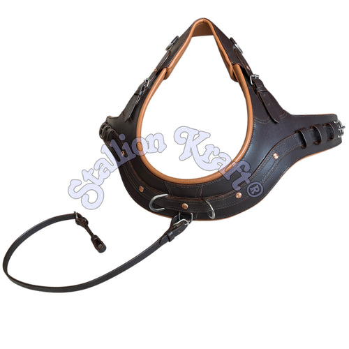 Anatomical French Collar Horse Driving Harness Tan and Brown Team Pair Carriage Harness