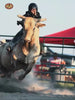 Horse riding activities and equestrian games featuring skilled riders, trained horses, and outdoor riding competitions.